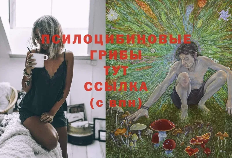 Галлюциногенные грибы Magic Shrooms  Каменка 